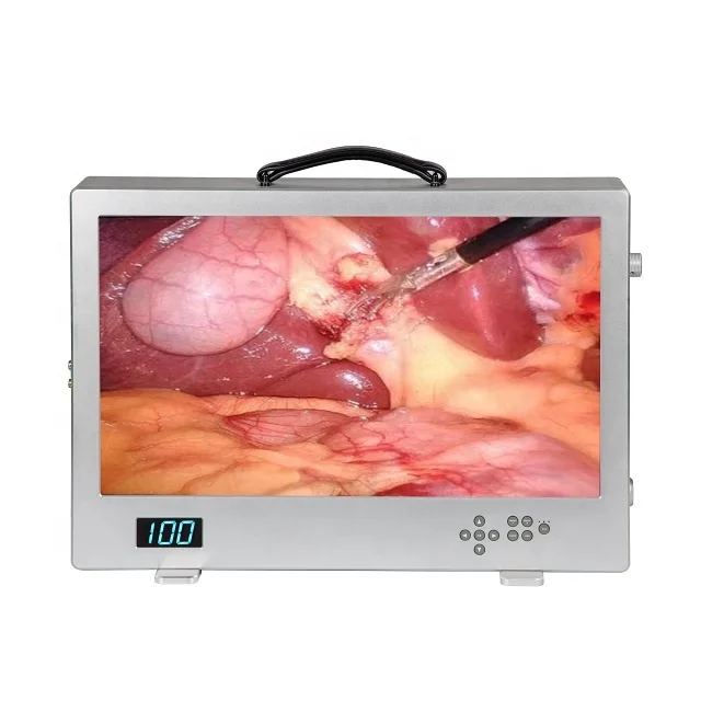 Full HD 3 in 1 Endoscopy ENT Camera with LED Light Source