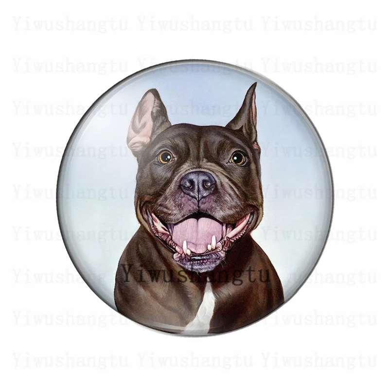 Cabochon animal cute  dog\'s head 12mm/20mm/25mm/30mm Round photo glass cabochon demo flat back Making findings