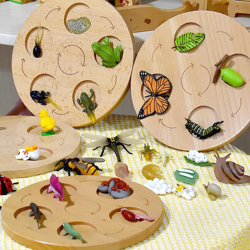 

Montessori Plant Growth Life Cycle Wooden Toy Animal Education Toy Tray Figure Life Cycle Sorting Teaching Aid for Children Gift