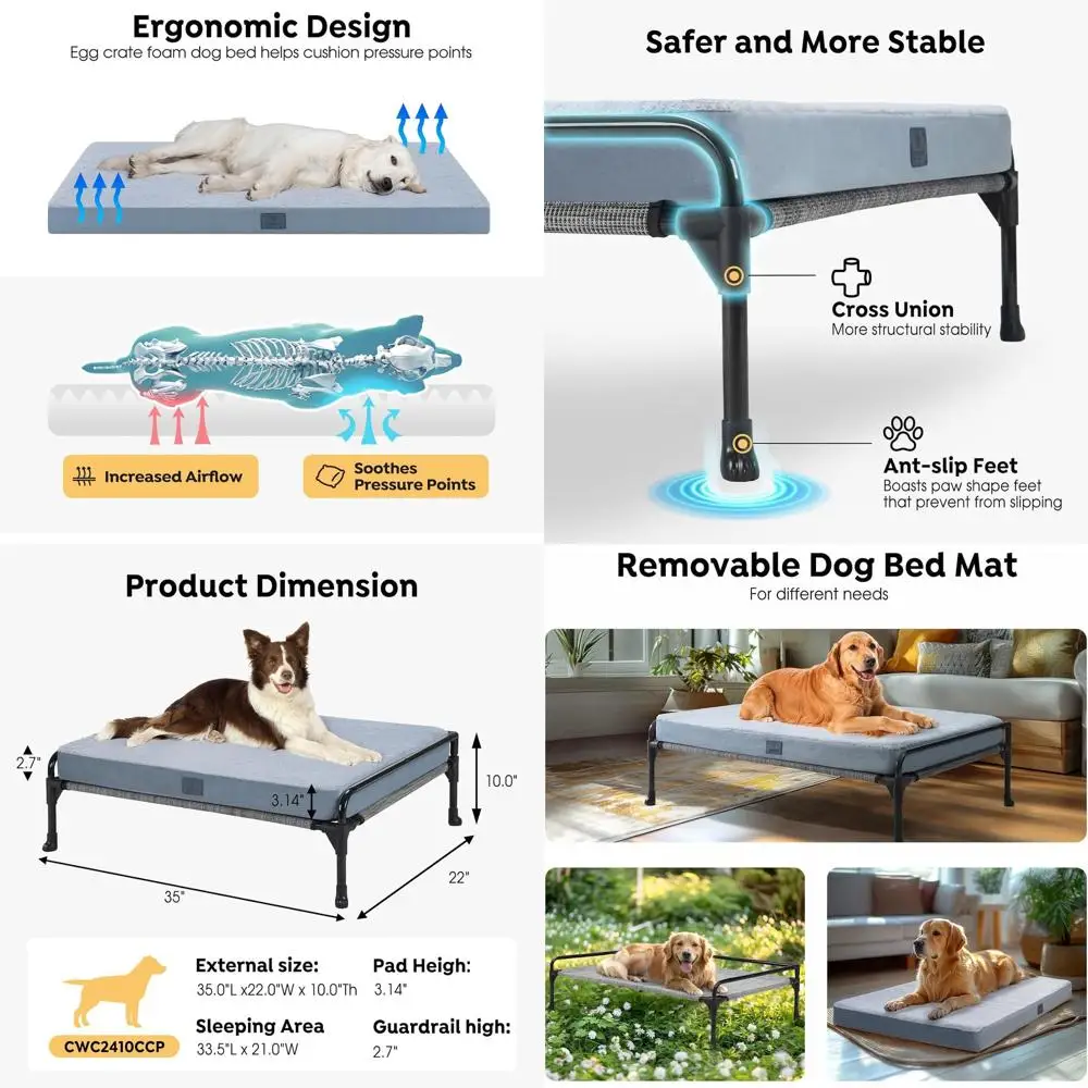 Elevated Raised Dog…