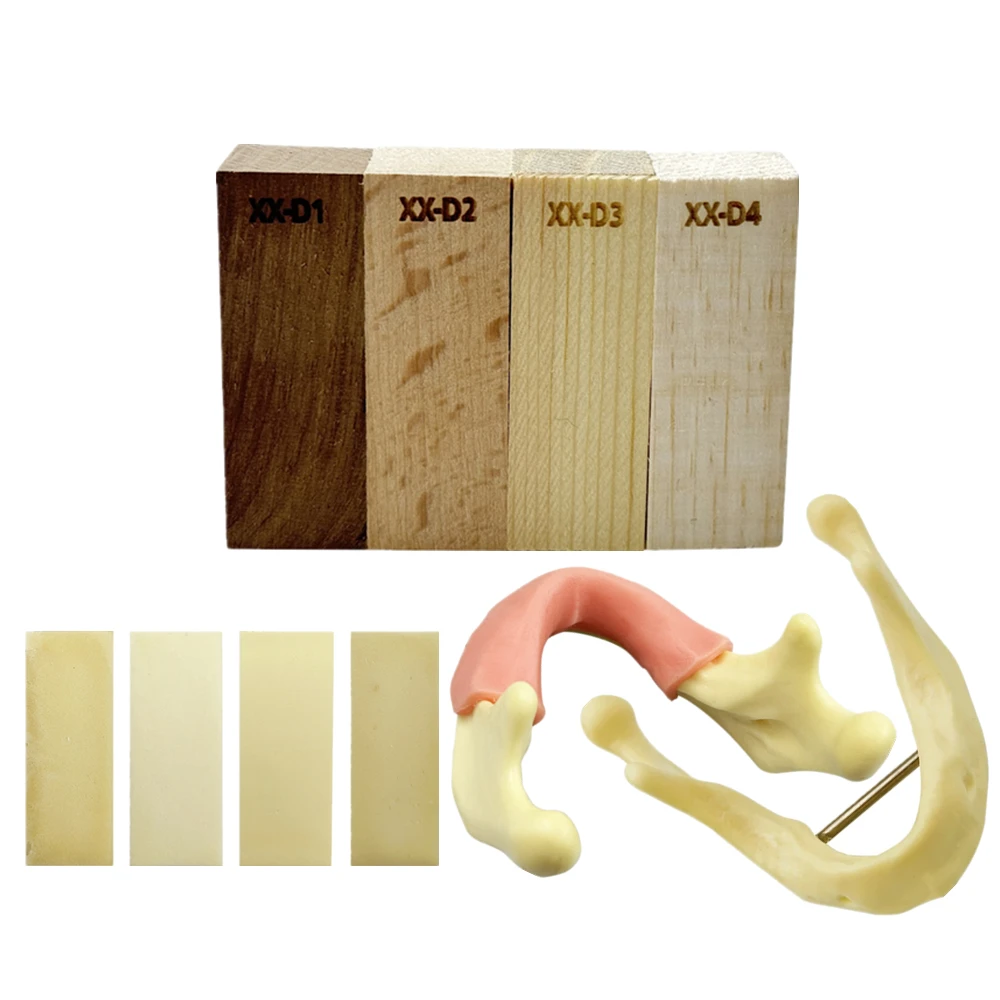 1/4 piezas Modelo de práctica de implantes dentales, Bloque de hueso artificial de madera/resina, Réplica de hueso alveolar dental, Modelo de mandíbula para entrenamiento