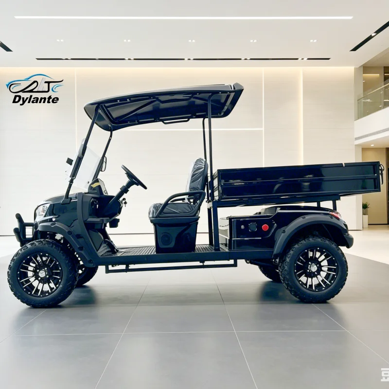 Electric Golf Cart 2 Seater Canopy Cargo Box 5kw 72v Lithium Battery 100km Range Chinese Electric Hunting Buggy Golf Course