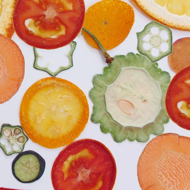 30 Uds., espécimen prensado de verduras y frutas, okra, arándano/concoco, tomate, kumquat, rodaja de fresa, material manual de plantas DIY