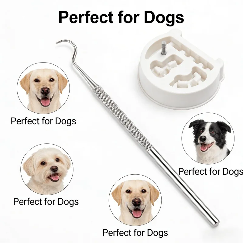 8PCS Stainless Steel Pet Teeth Cleaning Tools Set, Pet Dental Scaler Pick for Dogs Cats Tartar Plaque Calculus Removal Oral Care