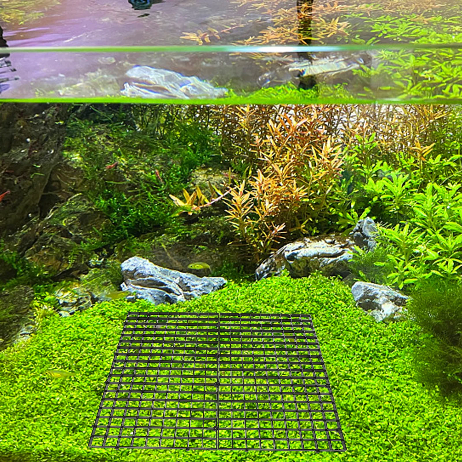 

10Pcs Aquarium Divider Tray Fish Tank Grid Easy to Install Remove Isolation Panel Bottom Filter Supplies Fish Tank Filter