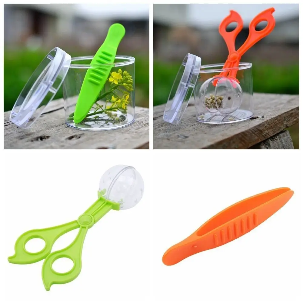 Ensemble d'outils mignons en plastique pour l'étude de la biologie, ensemble de receveurs d'insectes et de plantes, ciseaux et pinces à épiler, kit de jouets d'exploration naturelle pour l'école, 2 pièces/ensemble