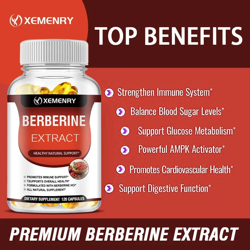 Berberine-capsules - Ondersteunt de bot- en cardiovasculaire gezondheid, bevordert het metabolisme, anti-oxidatie en verbetert de immuniteit