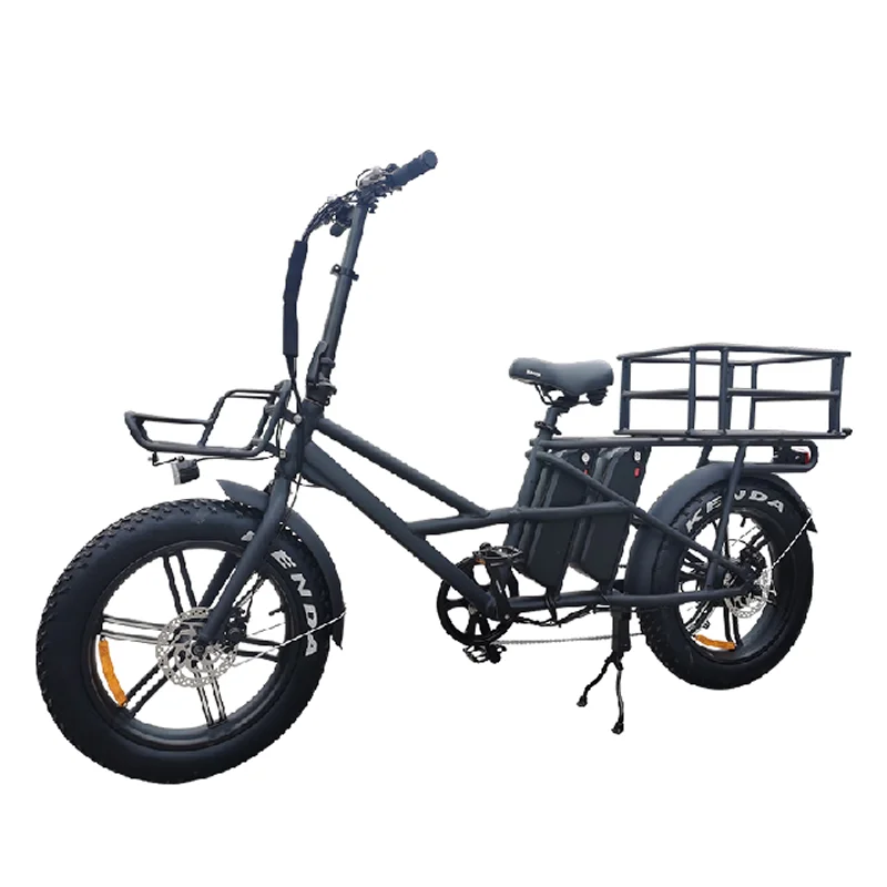 2 Whee Long Tail with Basket Adult City Electric Cargo Bike 20 Inch Fat Tire Ebike 500w 750w E-cargo Family E Bicycle