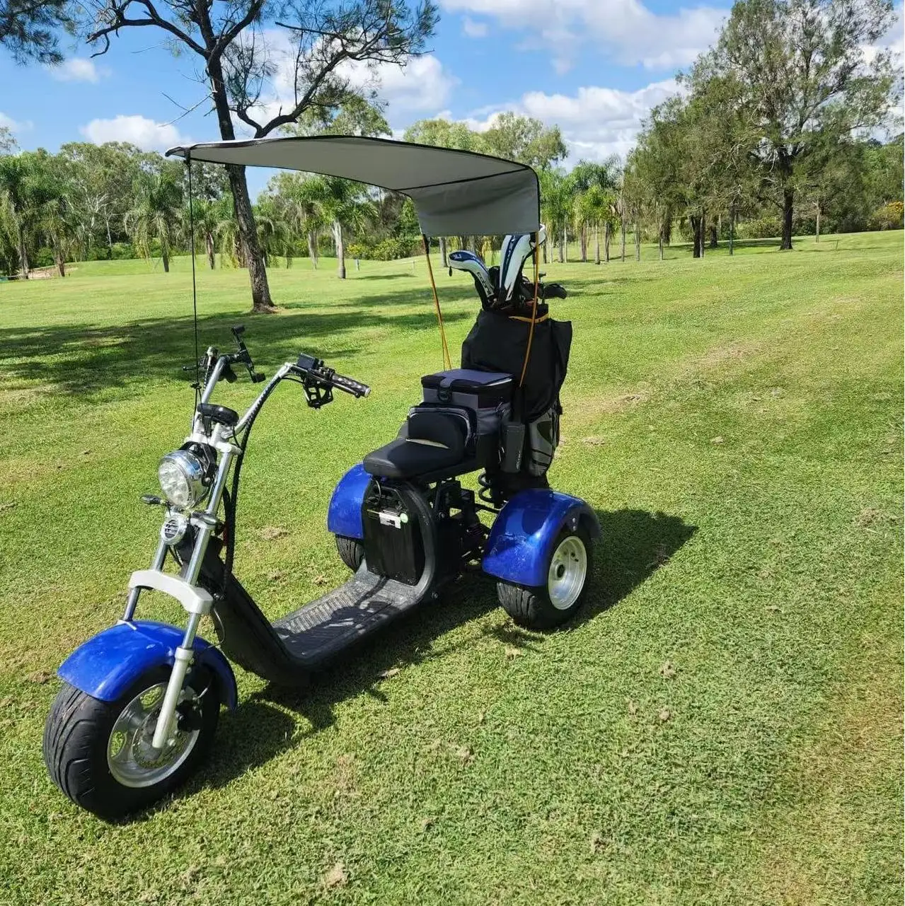 

ZAIQU australia market elektrikli electric scooter adult 3 wheels golf powered electrico mobility scooter for elderly handicapp
