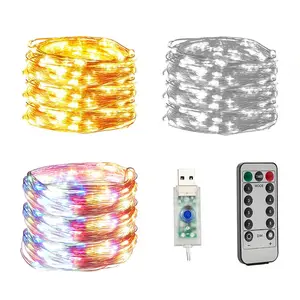 USB Led Fairy Lamp with remote control, hot white RGB String, holiday, copper wire, interior, home decor, new year, Christmas 6 Main Sales Christmas Decoration House - №2