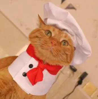 Accesorios de cocina para perros, ropa para Chef de cachorros, sombrero de cocinero, traje de panadero de animales, disfraz de cocina