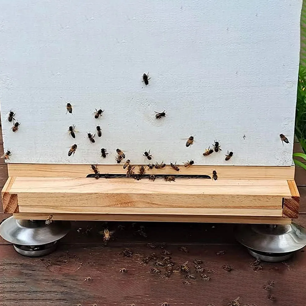 

4 Pcs Feet Outdoor Beehive Stand Bases for Beekeeping Stands Antproof Legs Stainless Steel