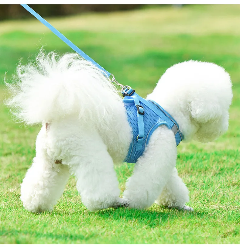 Dog Harness Small Medium Sized Dog Vest Style Leash Reflective Puppy Summer Breathable Harnesses Pet Supplies Dog Collar Corgi