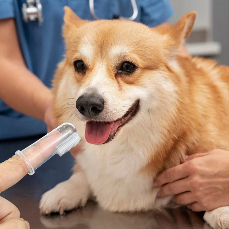 Kit limpieza dental 4 piezas para perros y gatos – Pasta y cepillo - imagen 5