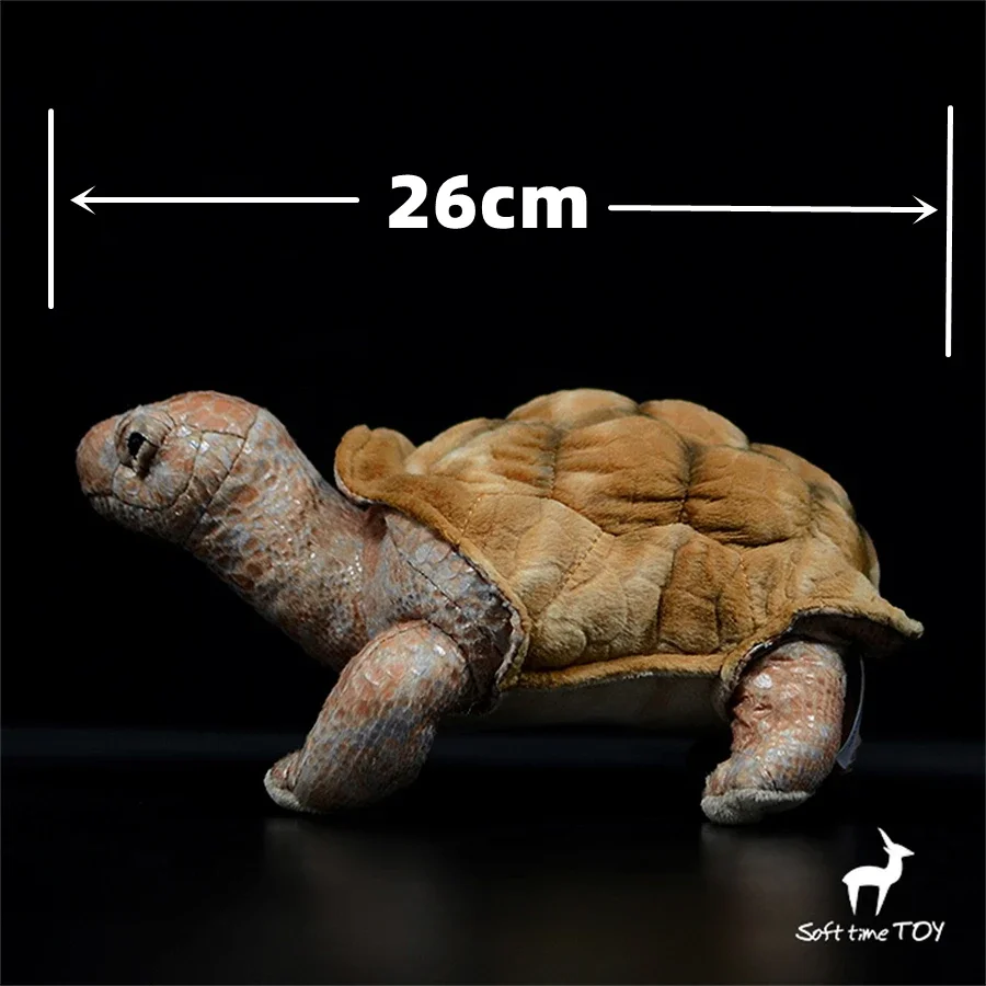 Galapagos Tortoise High Fidelity Anime Cute Plushie Turtles Plush Toys Lifelike Animals Simulation Stuffed Doll Kawai Toy Gifts