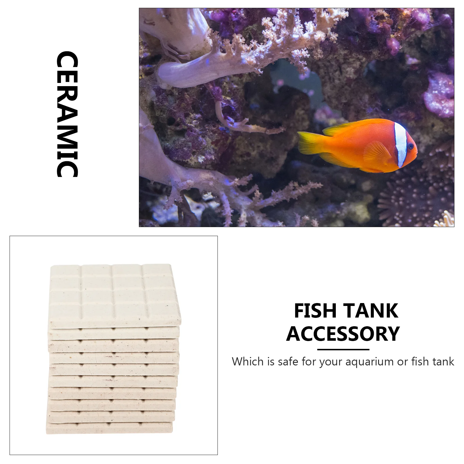 Magnetic Coral Rack Fragment Base Fish Tank Accessories Breeding Supplies White Ceramic Bases