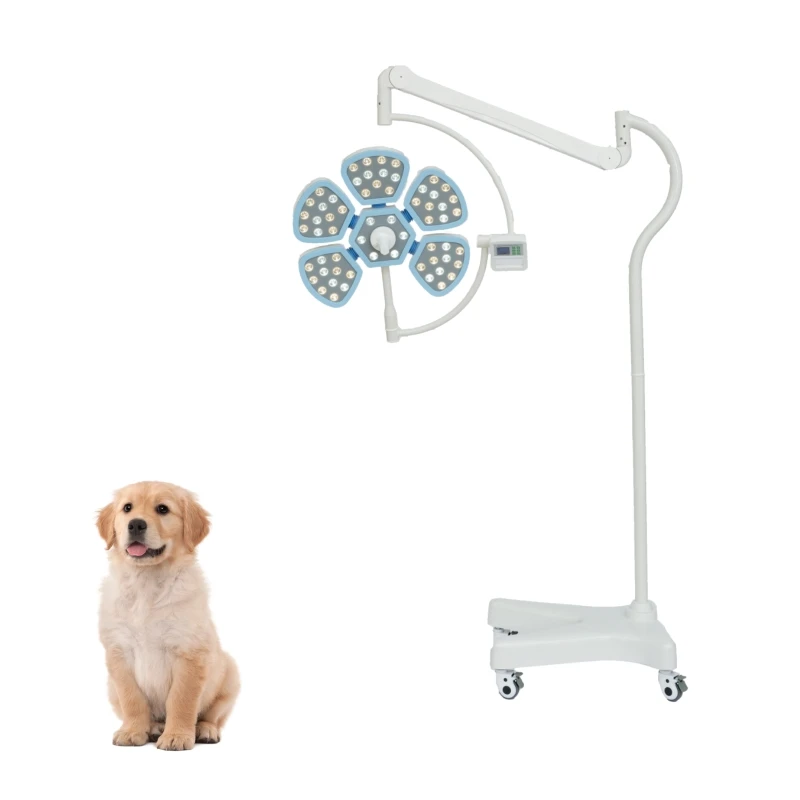 Veterinary Operating LED Light Theater Room Headlight Surgical Lamp for Animal