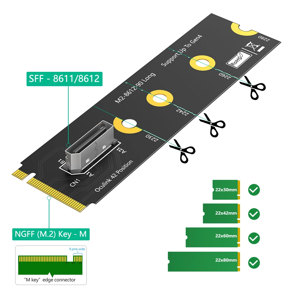 HOT M.2 nvme key M to SFF-8611/8612 Adapter, NVMe PCI-e 4.0 x4 to OcuLink SFF-8612 4i Host Adapter for SSD and eGPU