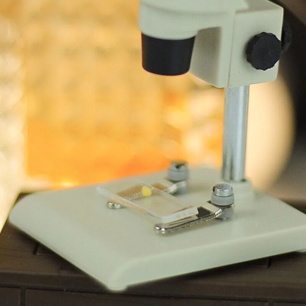 Mini Science Laboratory Accessories Microscope Miniature Ornaments Mini  Mother Garden Micro Model