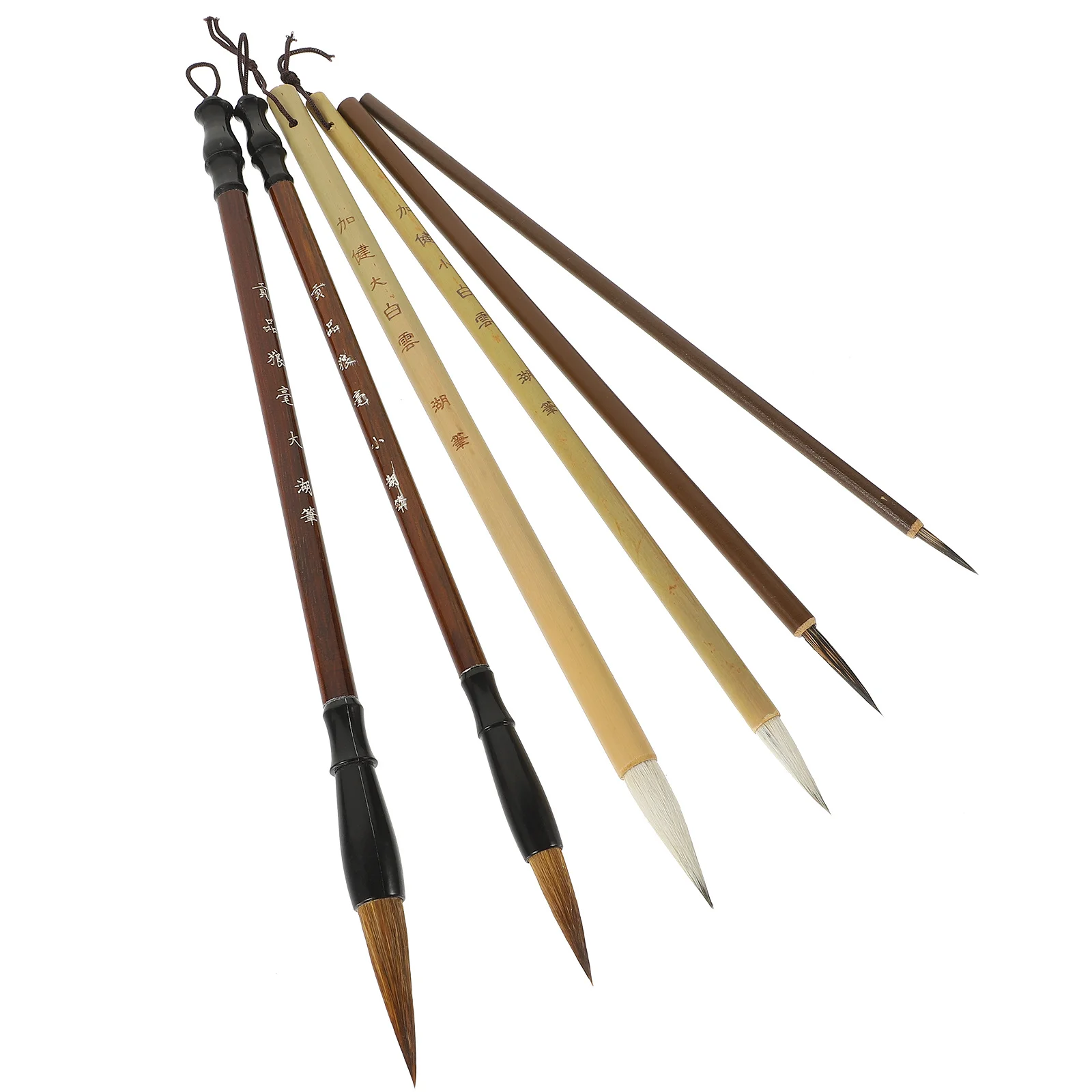 

6Pcs Traditional Calligraphy Brush Set Chinese Ink Painting Pens Soft Absorbent Brush Tips Calligraphy Writing Tools for Artists