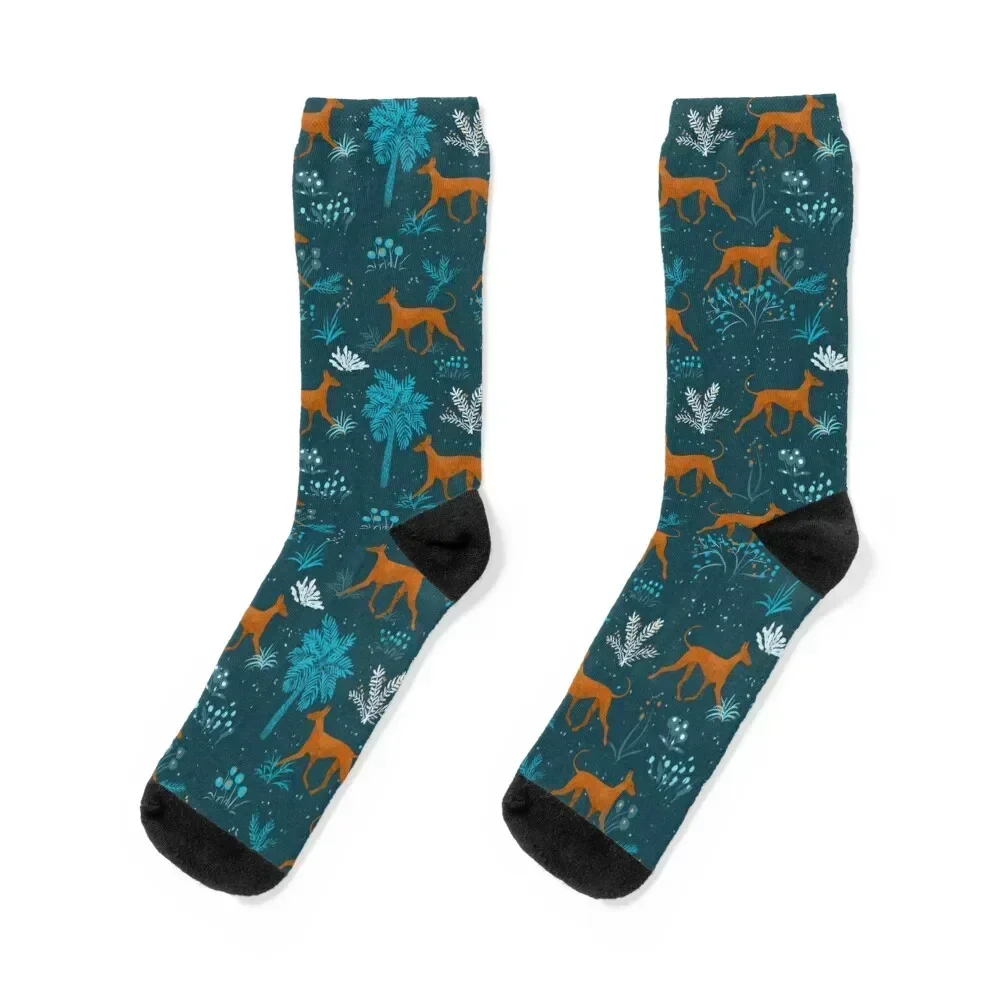 

Pharaohounds Socks custom sports bright garter cotton Boy Socks Women's