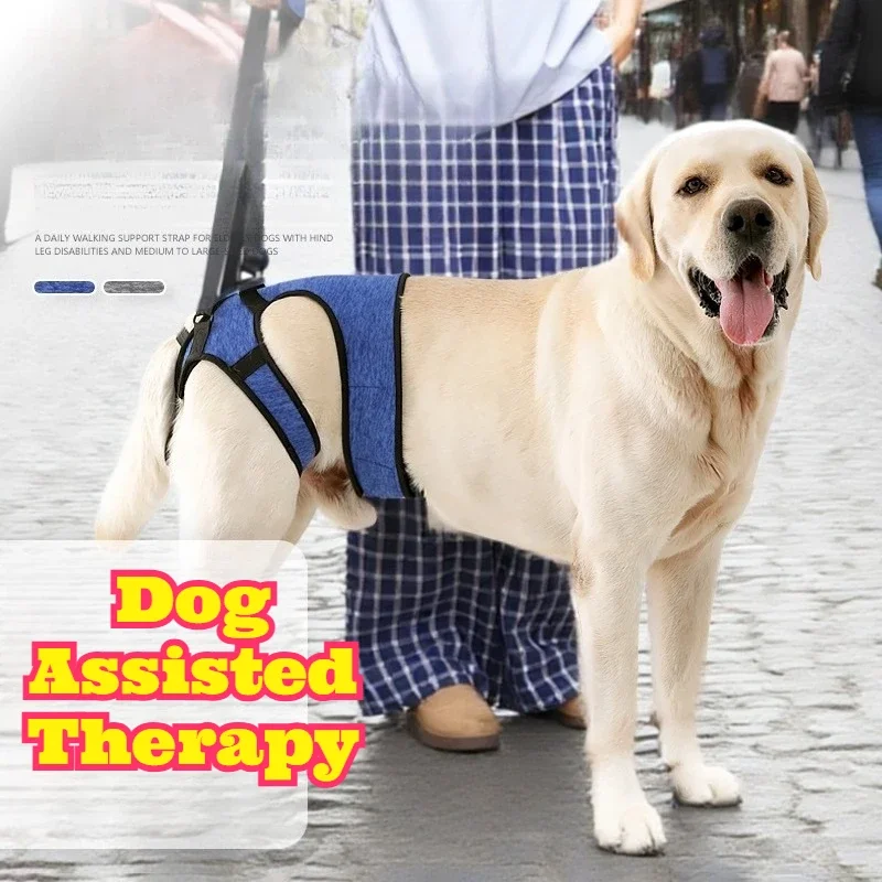 Upgraded Dog Support Sling Waist Design Anti Shedding Walking Harness Injured Dogs Stable Traction Aid Adjustable Pet Walking