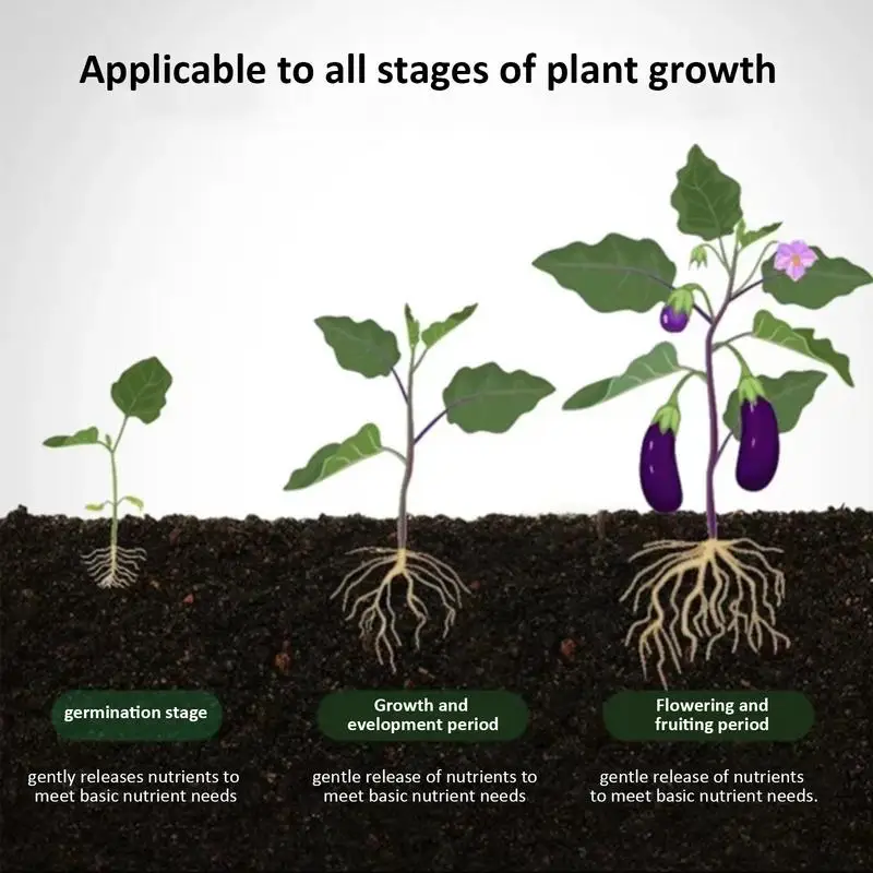 Plant Growth Enhancer Universal Potted Plant Stick Plant Growthing Fertilizer For Beginner Expert Gardener For Roses Pothos