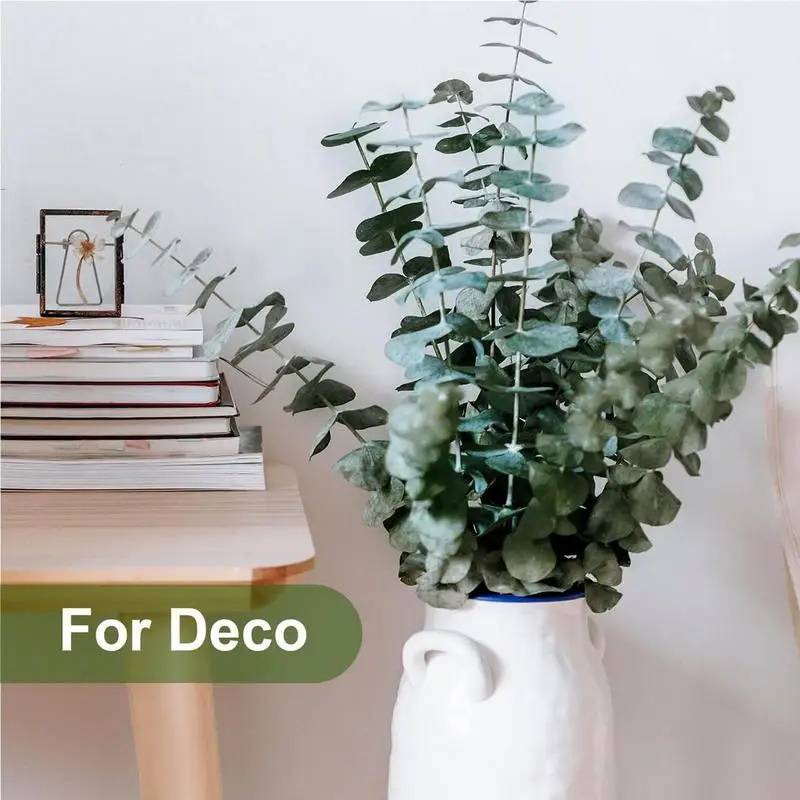 NEW Shower Eucalyptus Hanging Eucalyptus Tree Branch Round Leaves Artificial Money Leaf Retro Eucalyptus Plant Decoration