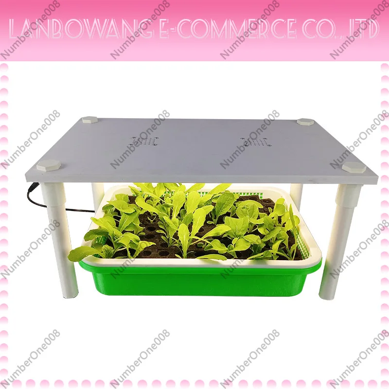 Hydroponic Seedling Box Soilless Cultivation Germination Kit Vegetable Flower Seeds Sprouting Tray for Teaching Experiment