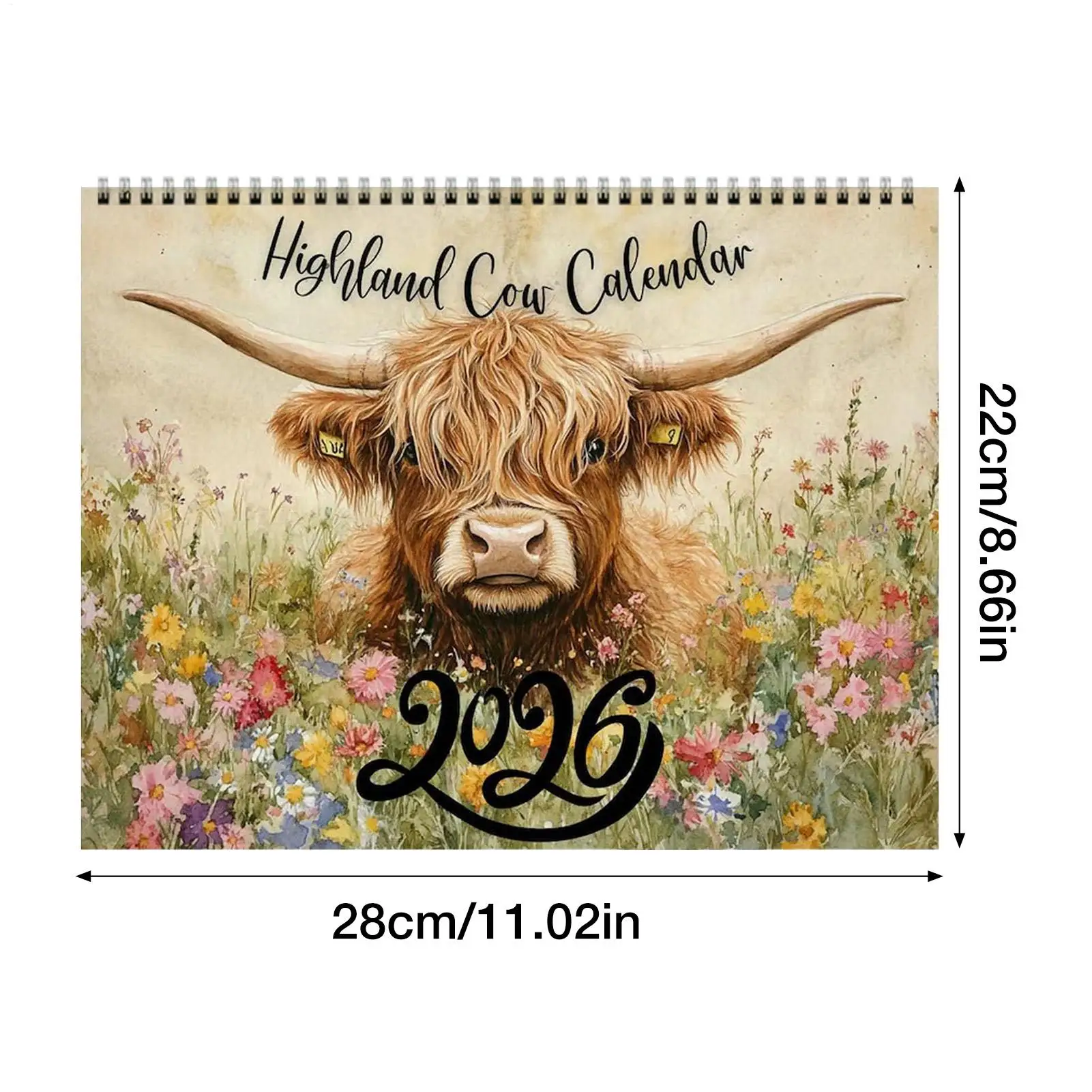 2026 Calendario da parete Calendario per bovini delle Highland Divertente mucca delle Highland Carta spessa Pianificatore mensile Decorazioni murali per la casa Regali di Capodanno