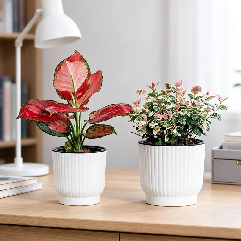 Automatic water-absorbing, uniquely designed resin and plastic succulent planters, perfect for lazy individuals. These hydroponi