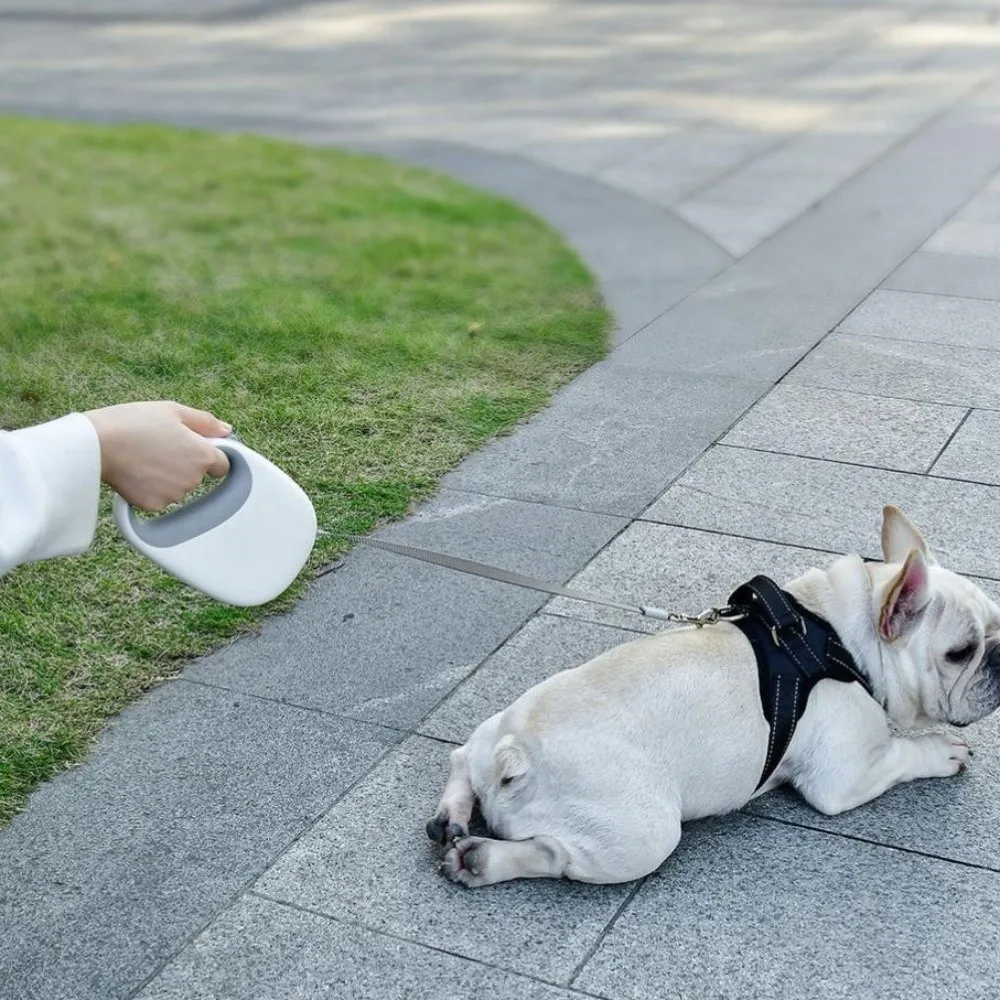 

Flexible Dog Walking Leash Anti-Escape Mechanism Nylon Retractable Dog Leash Comfort Grip Portable Design