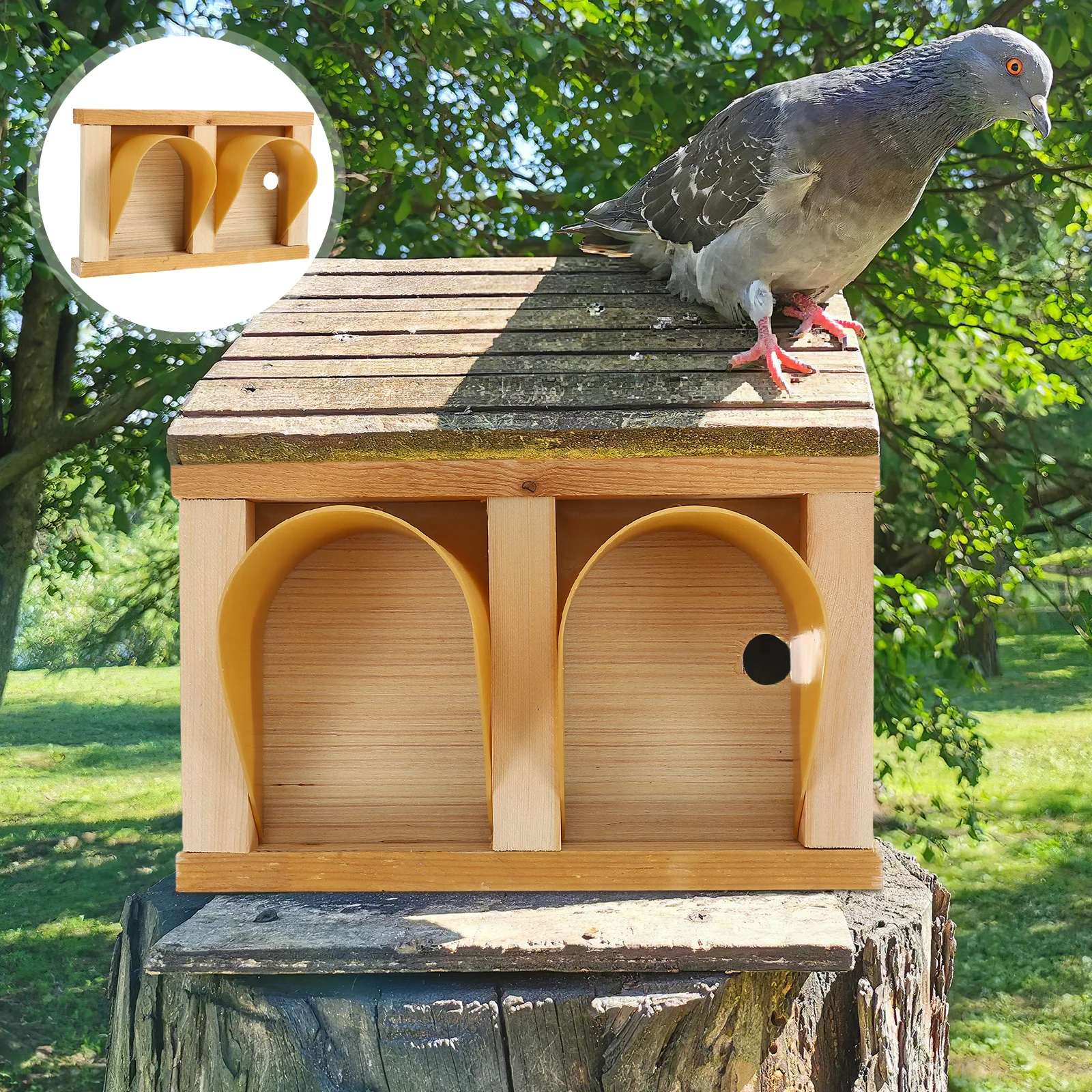 

European Style Loft Door Sturdy Wooden Abs Entrance Bird Racing Cage Accessory Pigeon Supplies Poultry Transport Crate Pigeon