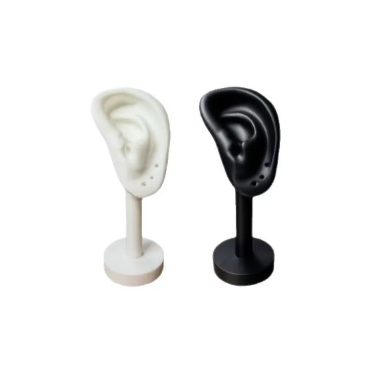 Realistic Silicone Ear Model Display Stand