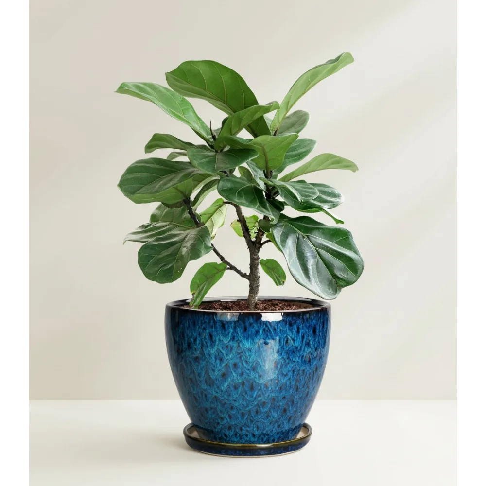 

10-дюймовый большой керамический горшок для цветов с дренажным отверстием и блюдцем — синий круглый цветочный горшок для комнатных и наружных растений