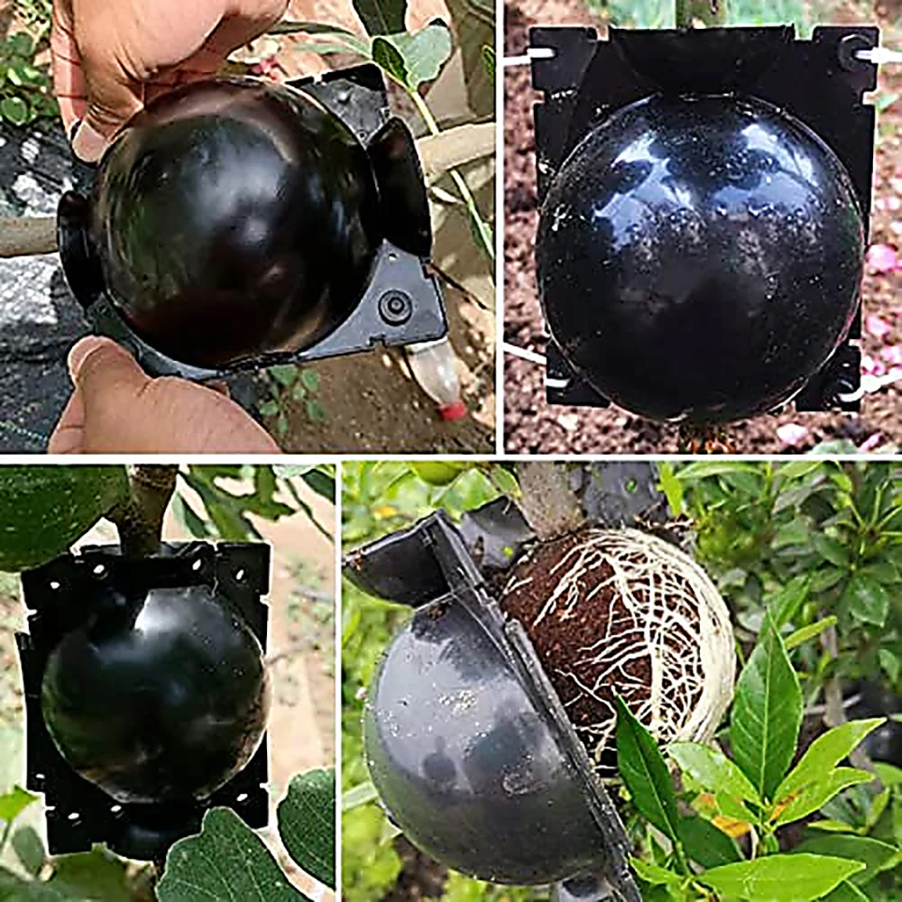 Plant Root Growing Box Cloning Ball - Air Layering High Pressure Grafting Propagation Ball, Assisted Cutting Rooting