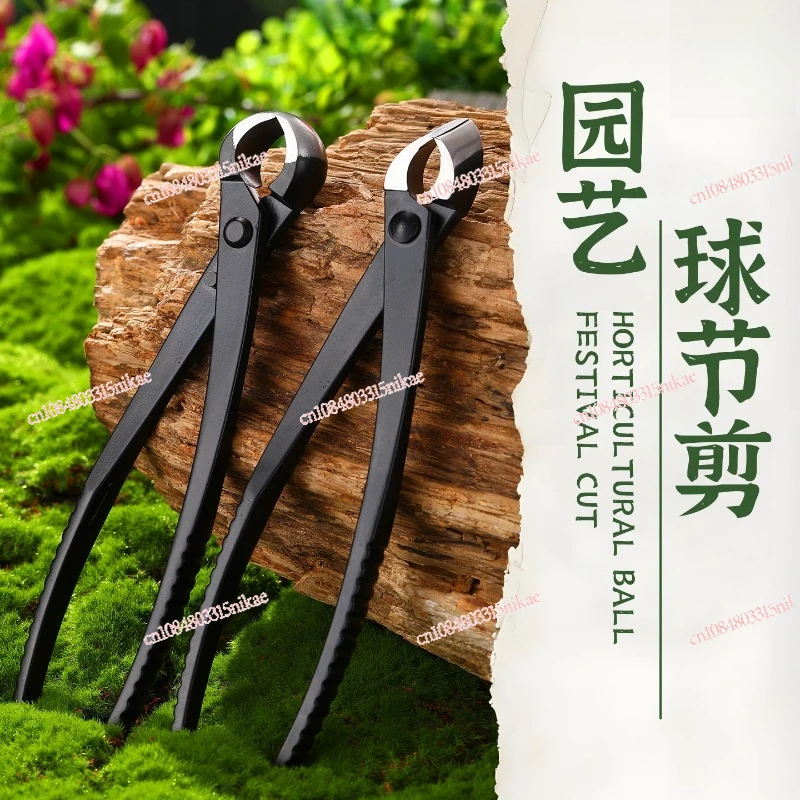 

Stainless Steel Bonsai Pruning Shears Garden Ball-Joint Snips for Cutting Buds, Shoots & Branches (Indoor Forest/Garden Use)