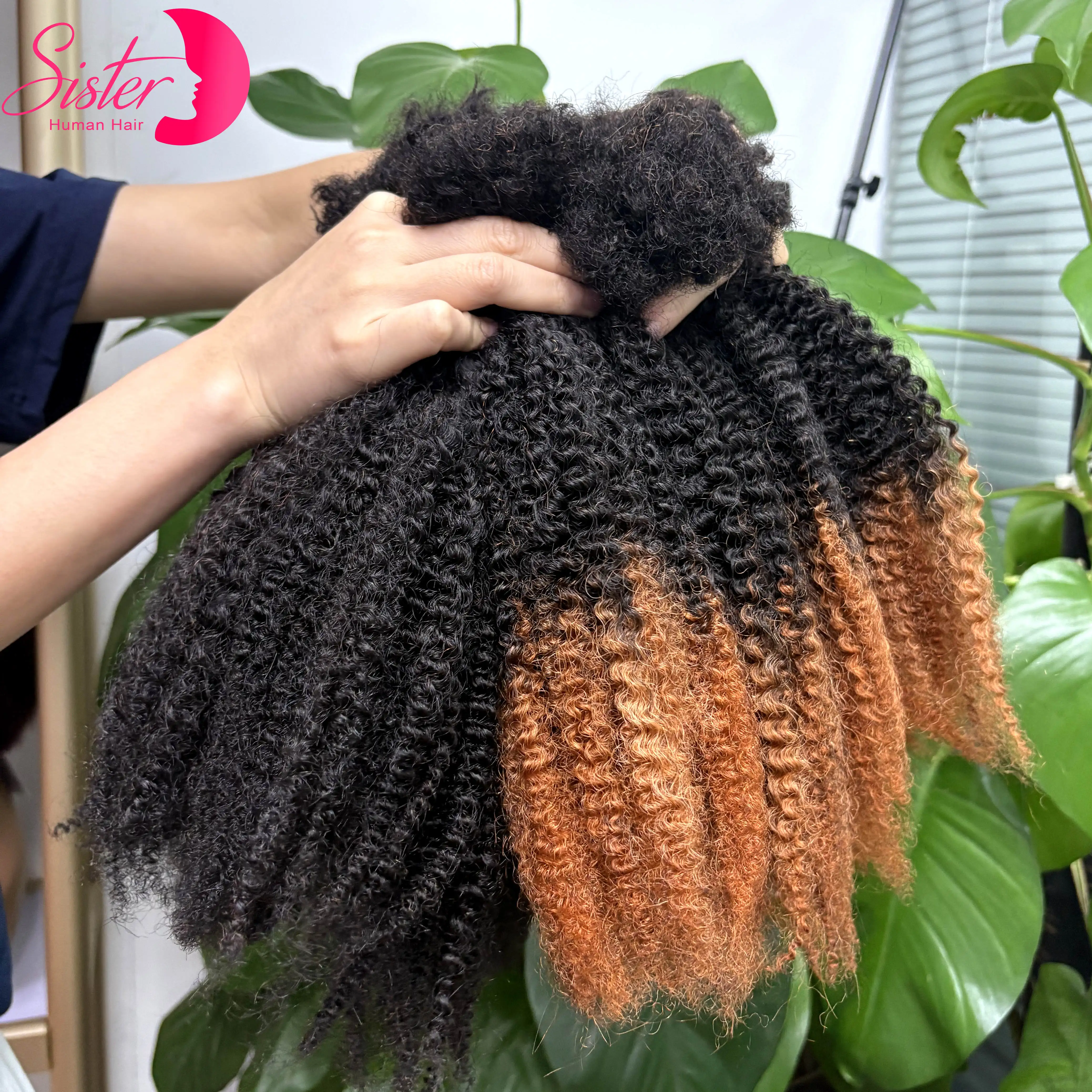 Natural Afro Kinky Curly Human Hair Bulk Extension No Weft 16Inch 30g/Bundle for Permanent Micro Locs/Twists/Braids/Repair Locs