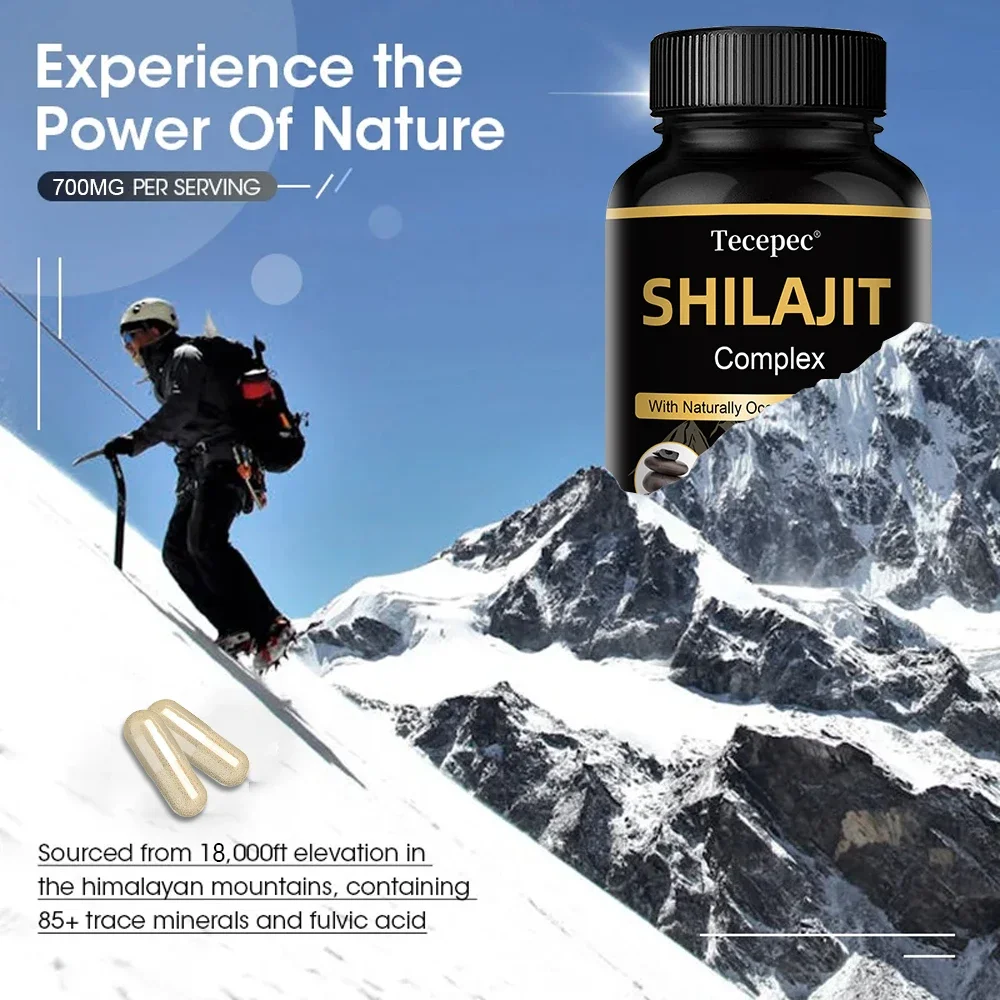 Shilajit Capsules, Endurance, Vitality, Brain Support, with Natural Fulvic Acid, 120 Capsules Dietary Supplement