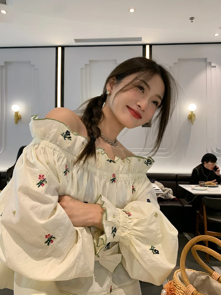 

Loose Women's Shirt Design Sense Small Audience 2026 New Spring Summer Long Sleeve Embroidery One Shoulder Top Korean Style C...