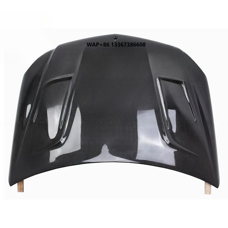 

GT Style Carbon Fiber Hood for 2011-2014
