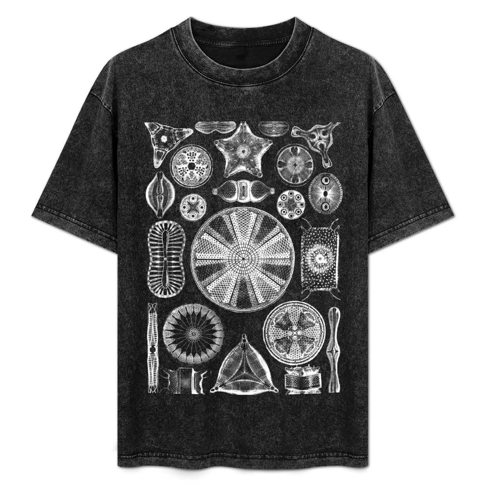 Ernst Haeckel Diatoms - outline only in white T-Shirt heavyweights man clothes tees plain mens big and tall t shirts