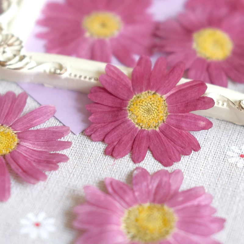 12 قطعة ، الطبيعية ضغط مارغريت زهرة جافة DIY بها بنفسك الوجه البتلة ماكياج النبات إطار صور الايبوكسي المحمول حافظة مجوهرات مسمار الفن حلية