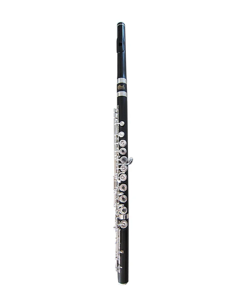 

17 Hole Dual Use With Open Holes Natural Ebony Body And Head Joint Silver Plating Professional Flute