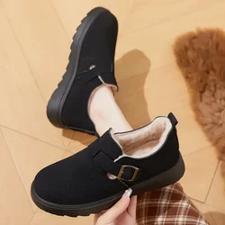 2024 Winter New Cotton Shoes Thickened Warm Boken Shoes Damskie bawełniane buty z aksamitnymi śniegowcami Casual Short Boots dla kobiet