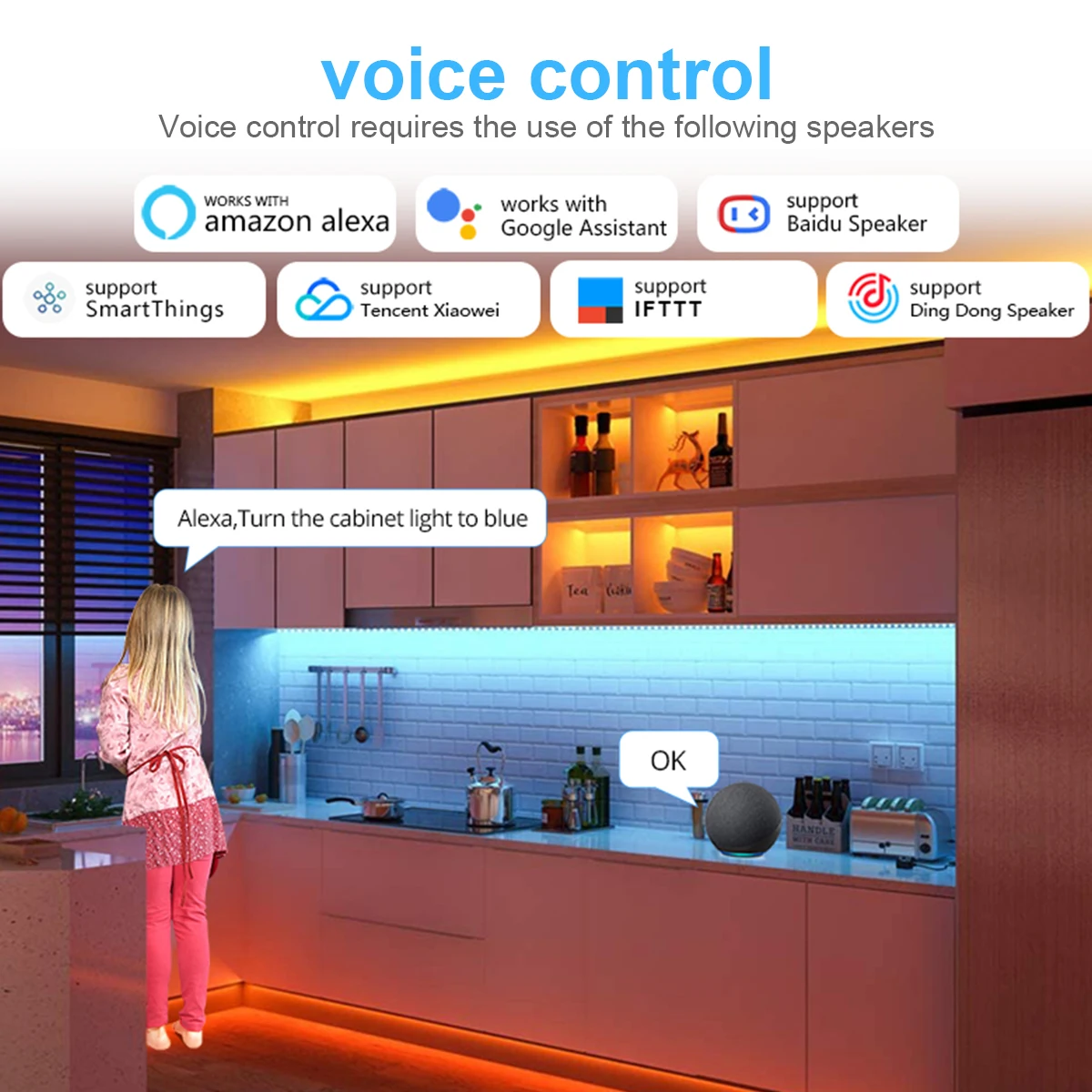 DC 12V WIFI RGBW RGBWW LED Strip Light Controller Apple Homekit Siri Voice / Tuya Smart Life Work with Alexa ,Google Home