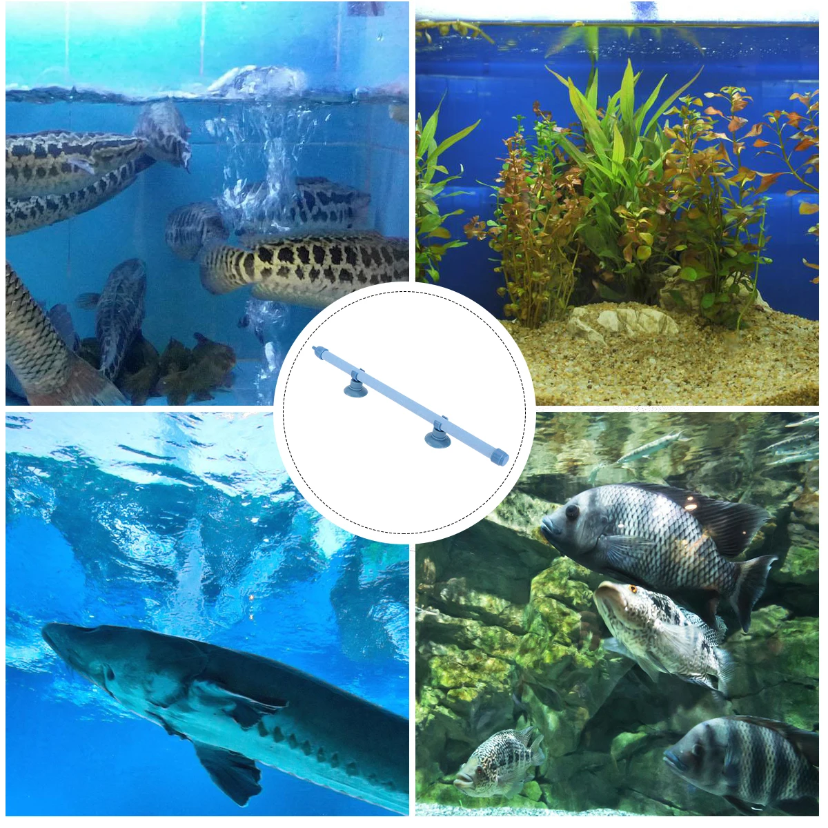 

10 inch Air Stone Tube for Aquarium Fish Tank 2 Rubber Suction Cups Blue Durable Plastic Adjustable Length Silent