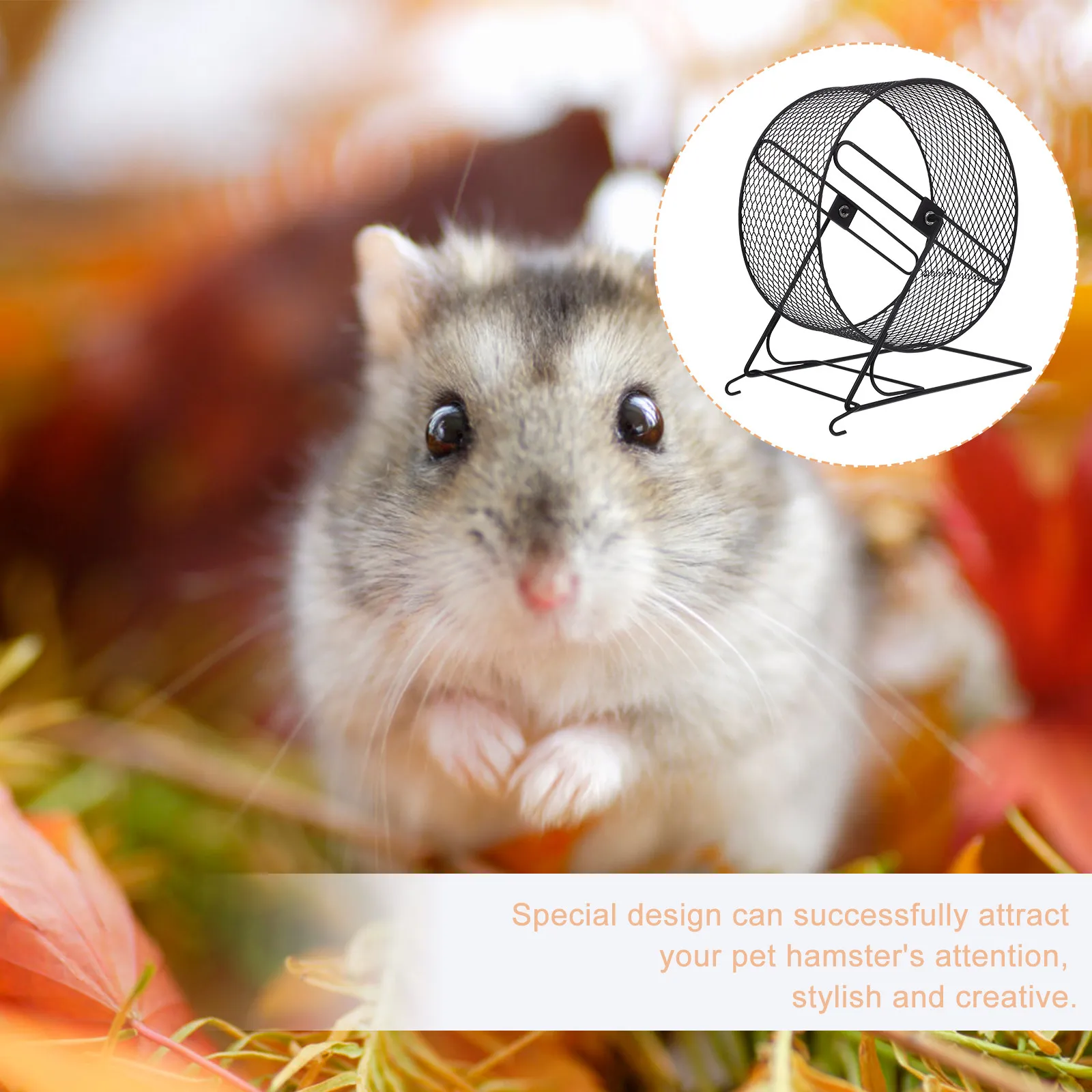Picture 5: High-Grade Iron Silent Running Wheel for Hamster Hedgehog Squirrel Exercise Small Pets Comfortable Size Hamster Running Roller