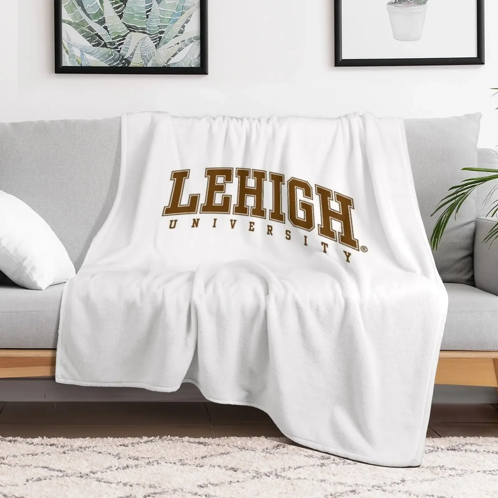 Lehigh University Throw Blanket Flannels cosplay anime Decoratives Furrys Blankets