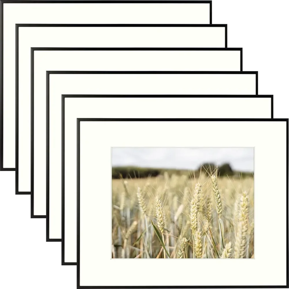 

16x20 Aluminum Photo Frame with Ivory Mat Includes with Sawtooth Hangers and Spring Clips - Wall Mounting (Black, 6-Pack)